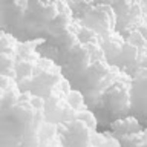 Meet your Posher, Katelynn